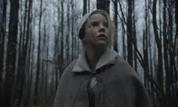 &nbsp;