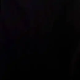 &nbsp;