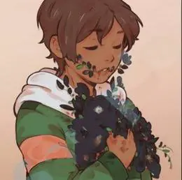 &nbsp;