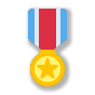 🎖️