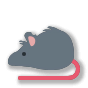 🐀