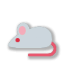 🐁