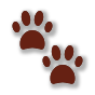 🐾