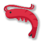 🦐