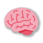 :brain: