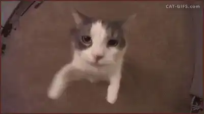 Image postée par le membre