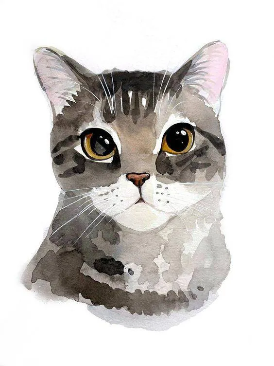 Image postée par le membre