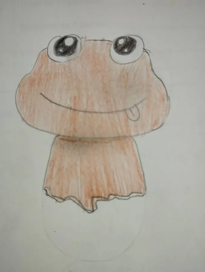 Image postée par le membre