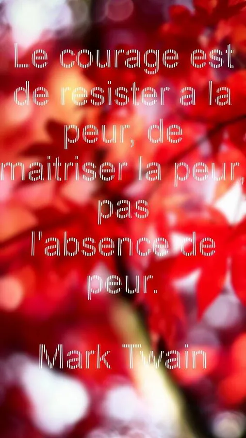 Image postée par le membre
