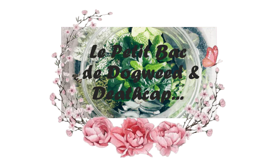 Image postée par le membre