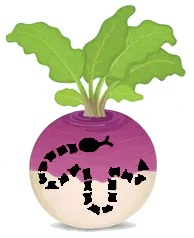 Image postée par le membre