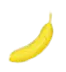 Image postée par le membre