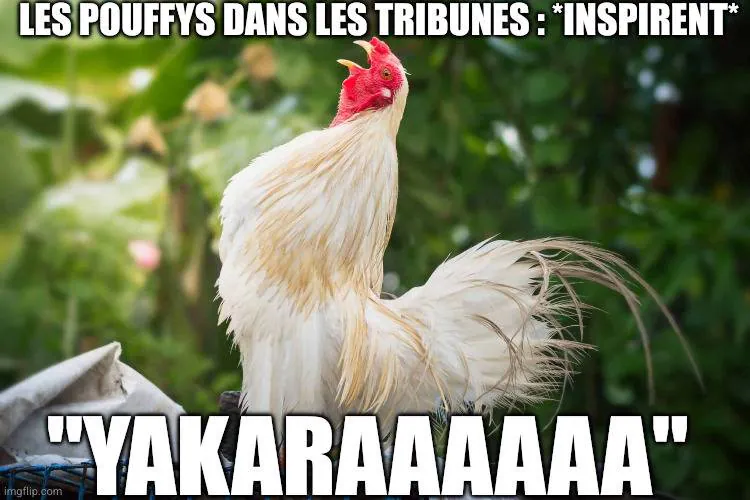 Image postée par le membre