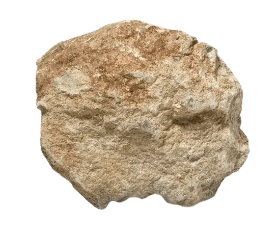 Image postée par le membre