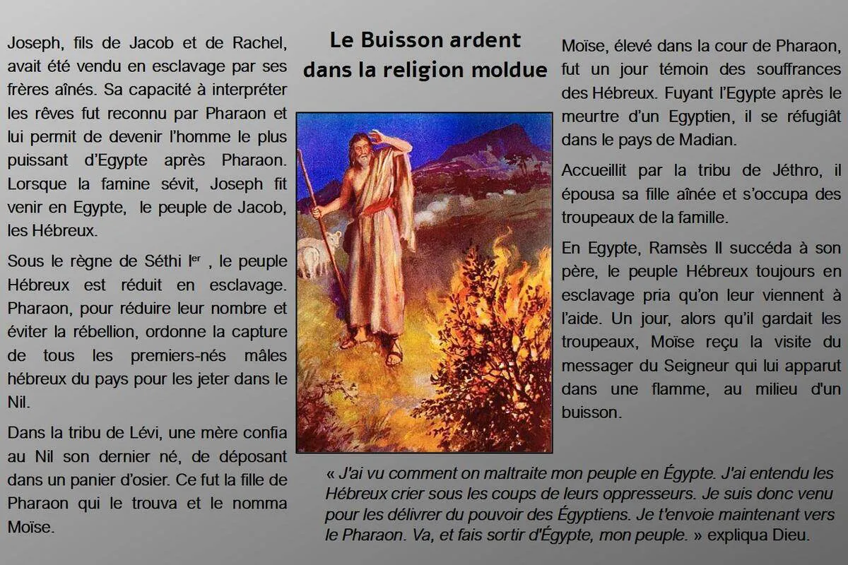 Image postée par le membre