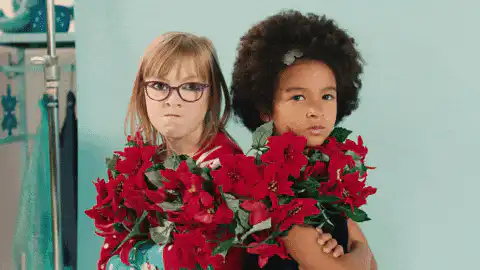 Image postée par le membre