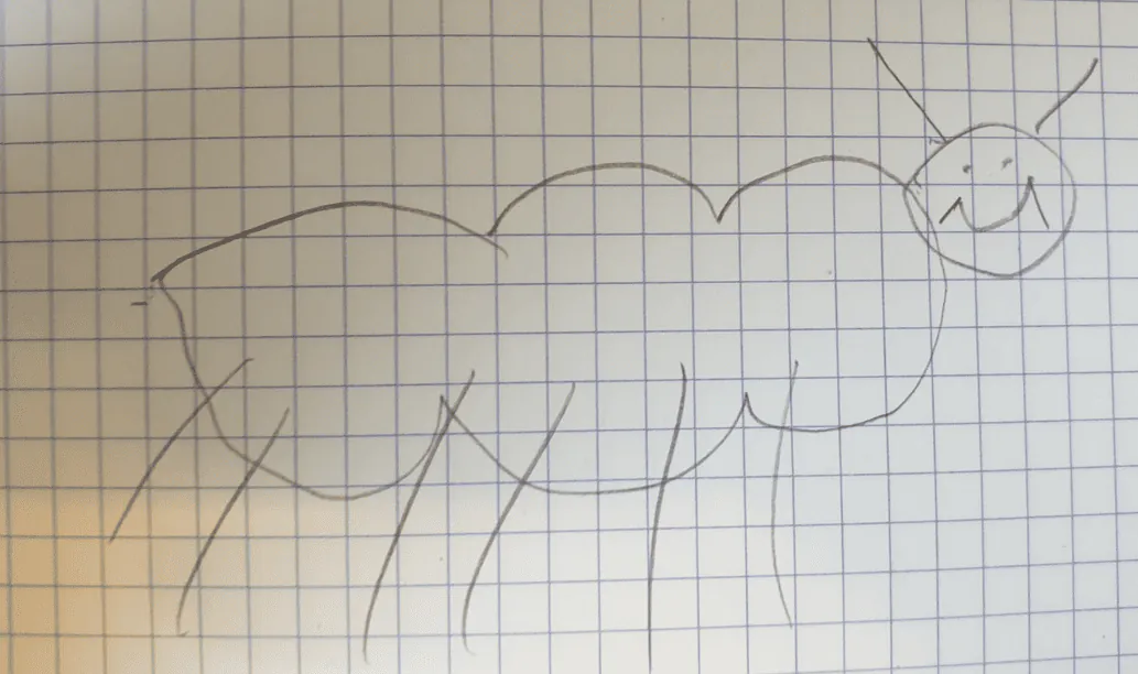 Image postée par le membre
