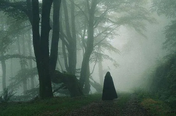 Image postée par le membre