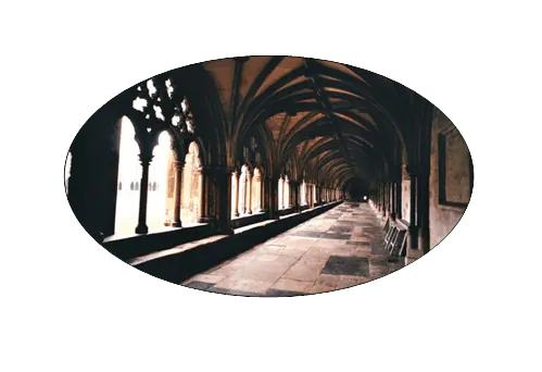 Image postée par le membre