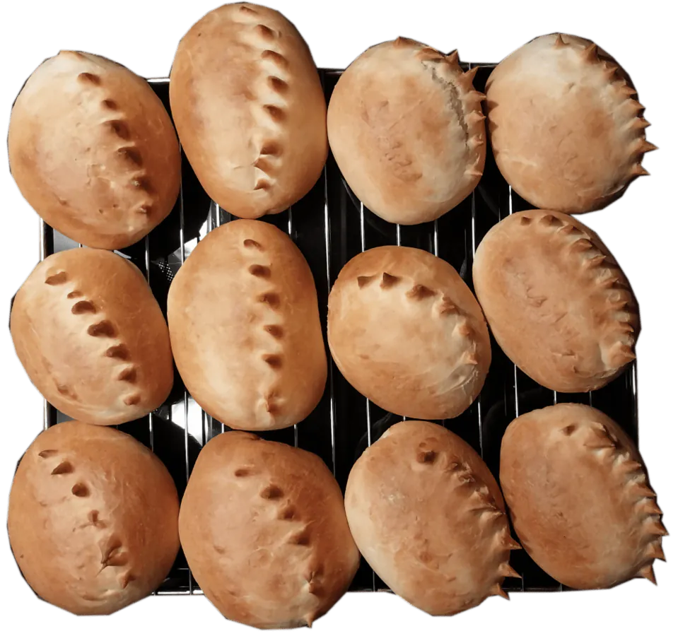 Image postée par le membre
