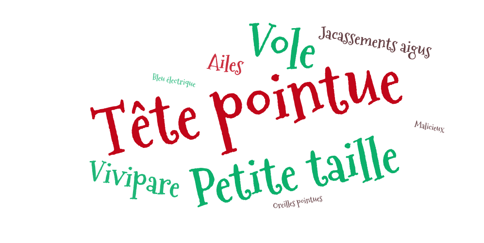 Image postée par le membre