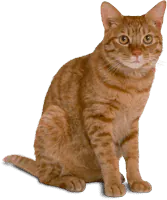 Image postée par le membre