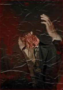 Image postée par le membre