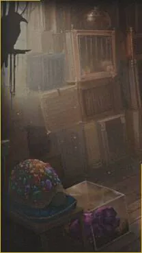 Image postée par le membre