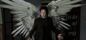 Image postée par le membre
