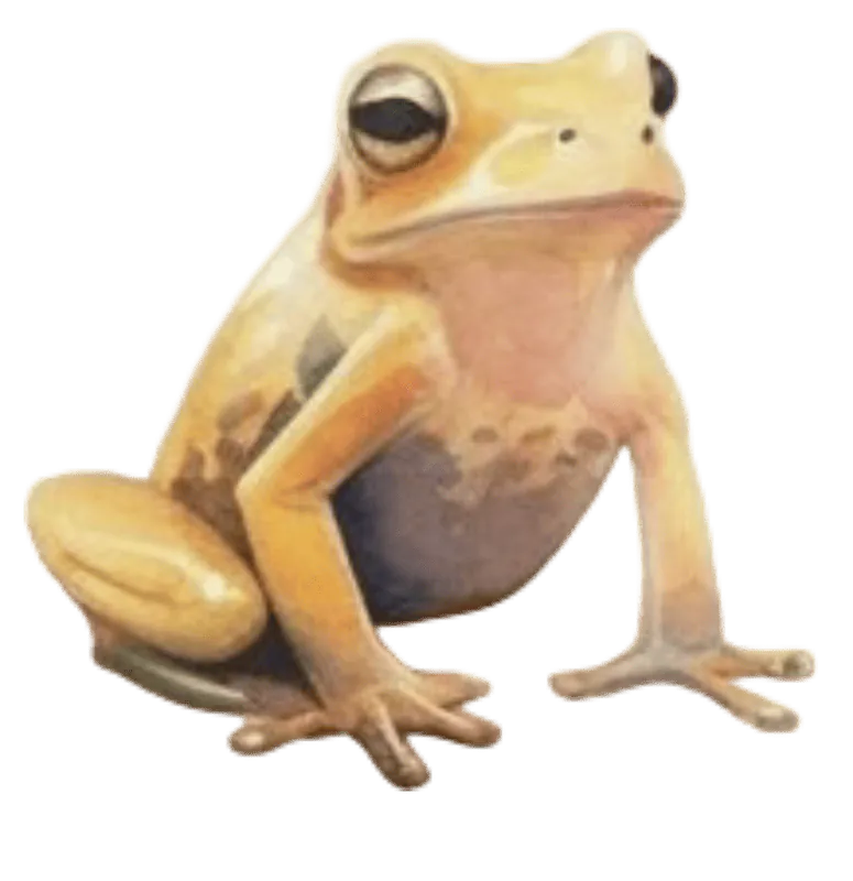 Image postée par le membre