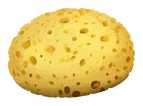 Image postée par le membre