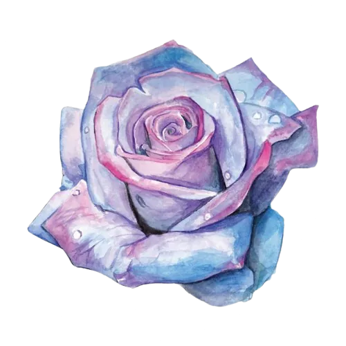 Rose en aquarelle, aux tons violet et bleu