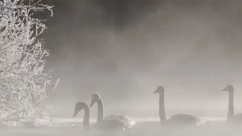 Image postée par le membre