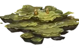 Image postée par le membre