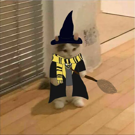 Image postée par le membre