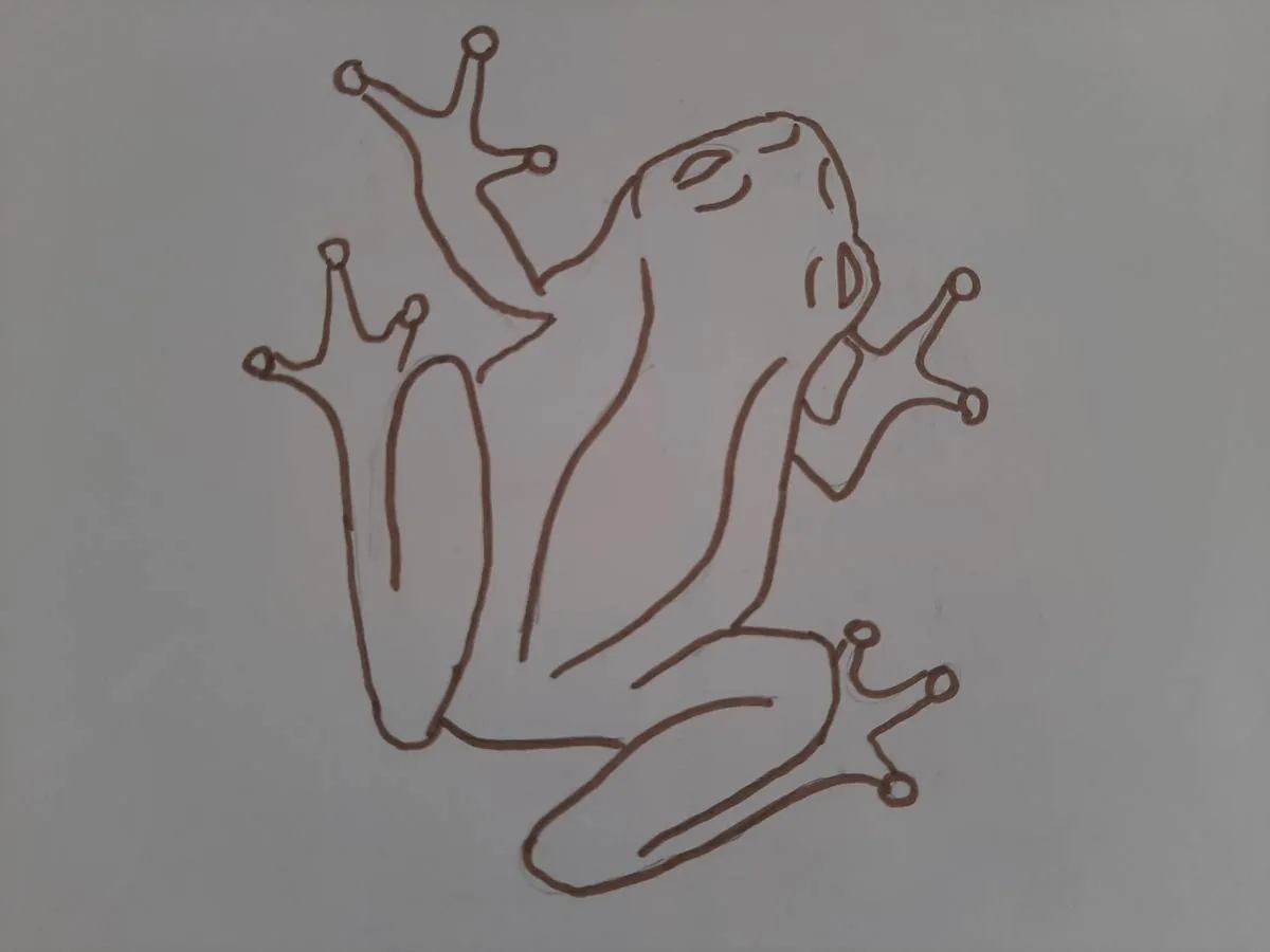 Image postée par le membre