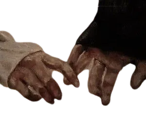 Image postée par le membre