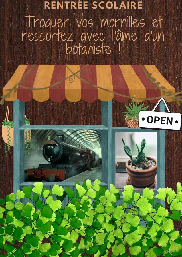 Image postée par le membre