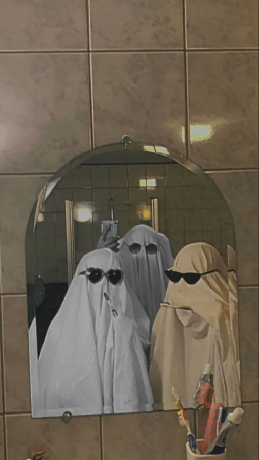 Image postée par le membre