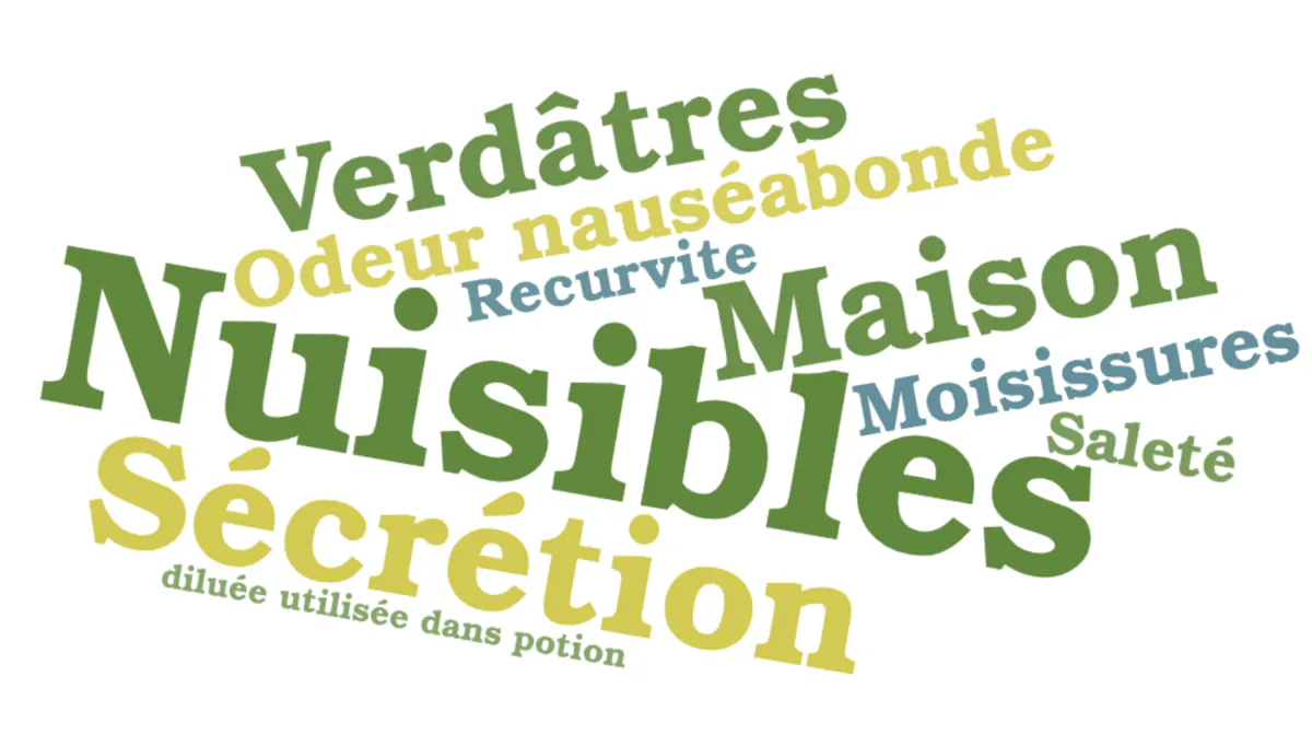 Image postée par le membre