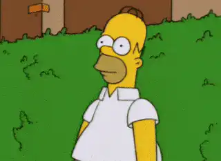 Image postée par le membre