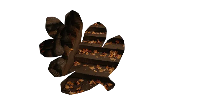 Image postée par le membre