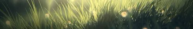 Image postée par le membre