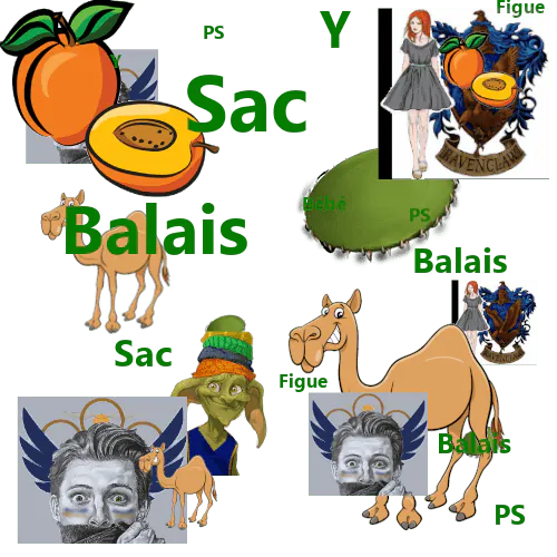Image postée par le membre