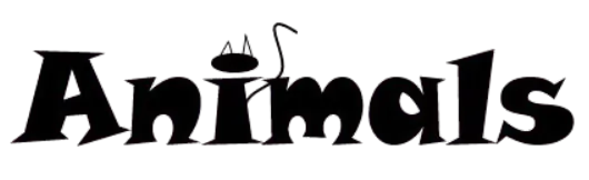 Image postée par le membre