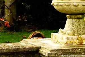 Image postée par le membre