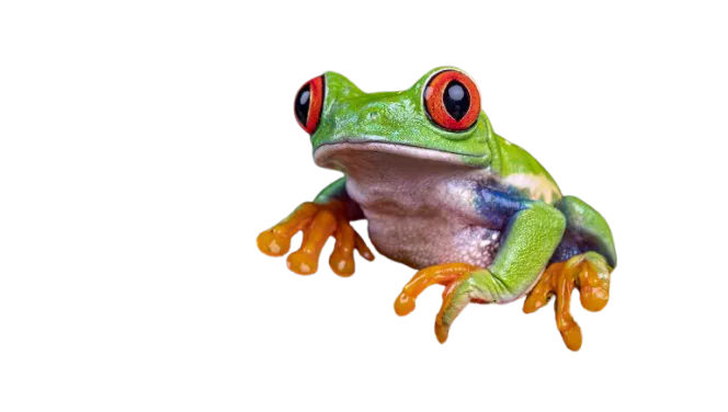 Image postée par le membre