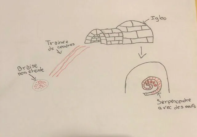 Image postée par le membre
