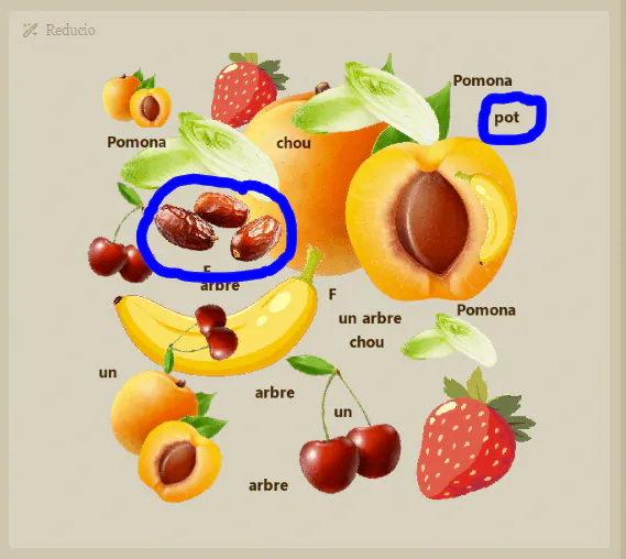 Image postée par le membre