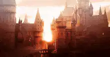 Image postée par le membre